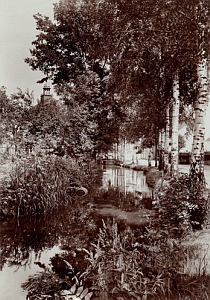 Senftenberg